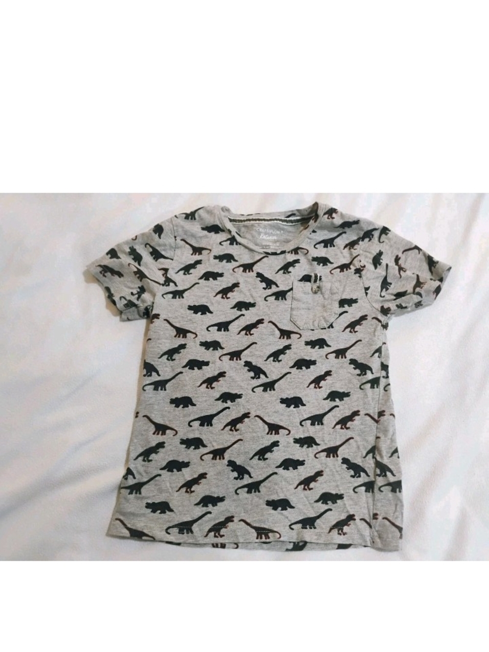 Kids Grey Short Sleeve Dino Print Tee